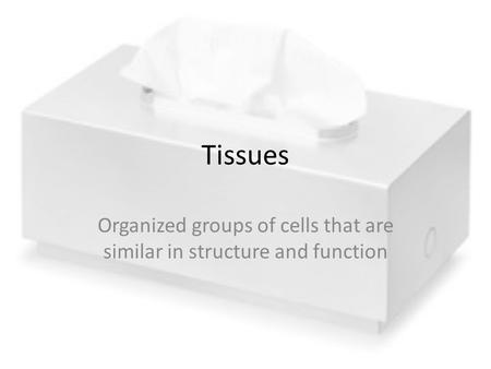 Organized groups of cells that are similar in structure and function