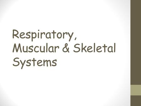 Respiratory, Muscular & Skeletal Systems. Specialized Tissues What are groups of similar cells called? What are the 4 basic types of tissues in animals?
