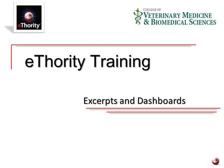 EThority Training Excerpts and Dashboards. eXcerpts: An eXcerpt is what is used to create a Dash. It is a universal application that can hold various.