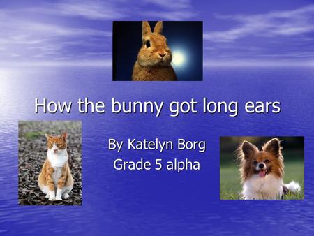 How the bunny got long ears By Katelyn Borg Grade 5 alpha.