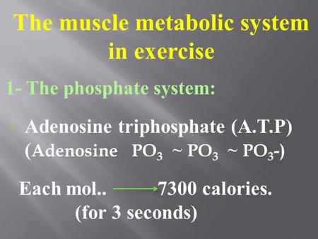 The muscle metabolic system in exercise 1- The phosphate system: Adenosine triphosphate (A.T.P) ( Adenosine PO 3 ~ PO 3 ~ PO 3 -) Each mol.. 7300 calories.