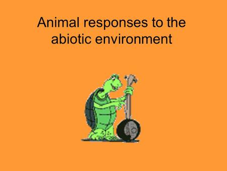 Animal responses to the abiotic environment. Biological orientation responses Behaviour by which animal positions self in relation to surroundings Taxes.