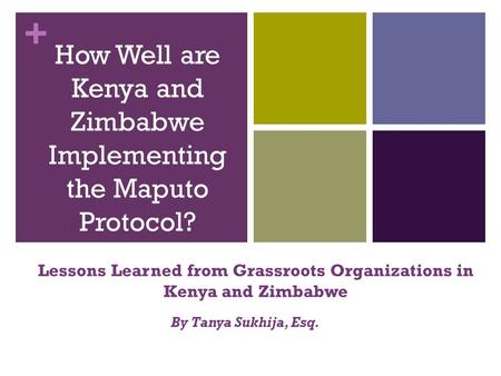 + How Well are Kenya and Zimbabwe Implementing the Maputo Protocol? Lessons Learned from Grassroots Organizations in Kenya and Zimbabwe By Tanya Sukhija,