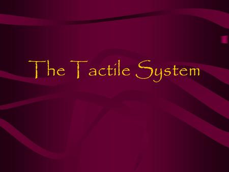 The Tactile System. 1.Overview The tactile system includes the nerves under the skin’s surface The information sent to the brain includes light touch,