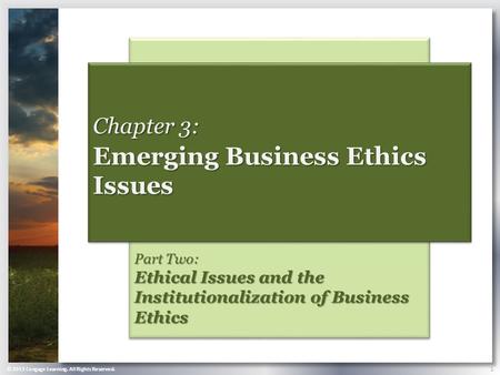 © 2013 Cengage Learning. All Rights Reserved. 1 Part Two: Ethical Issues and the Institutionalization of Business Ethics Chapter 3: Emerging Business Ethics.