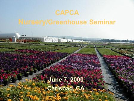 CAPCA Nursery /Greenhouse Seminar June 7, 2000 Carlsbad, CA.