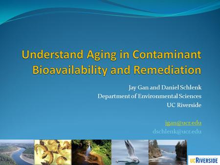 Understand Aging in Contaminant Bioavailability and Remediation