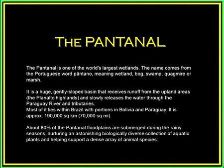 The PANTANAL The Pantanal is one of the world's largest wetlands. The name comes from the Portuguese word pântano, meaning wetland, bog, swamp, quagmire.