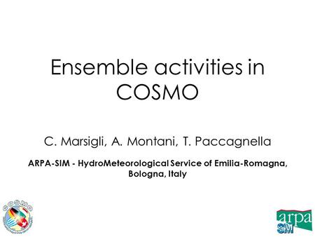 Ensemble activities in COSMO C. Marsigli, A. Montani, T. Paccagnella ARPA-SIM - HydroMeteorological Service of Emilia-Romagna, Bologna, Italy.