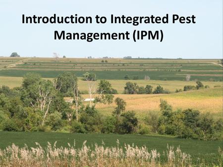 Introduction to Integrated Pest Management (IPM).