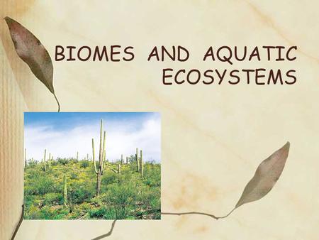 BIOMES AND AQUATIC ECOSYSTEMS. A. Biomes Major types of terrestrial ecosystems. Distribution of biomes largely depends on climate (temperature & rainfall).