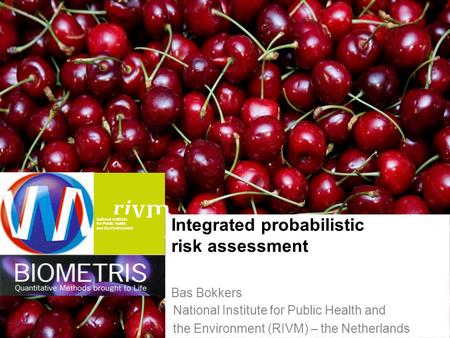 National Institute for Public Health and the Environment 1 Integrated probabilistic risk assessment Bas Bokkers National Institute for Public Health and.