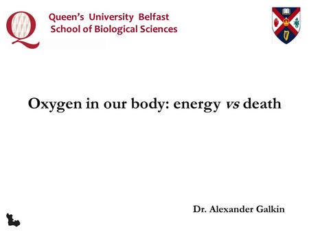Dr. Alexander Galkin Oxygen in our body: energy vs death Queen’s University Belfast School of Biological Sciences.