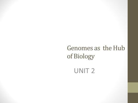 Genomes as the Hub of Biology UNIT 2. The hub of biology As biologists, we seek not only to understand how a single organism works, but how organisms.
