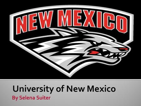 University of New Mexico.  Website: unm.edu  Albuquerque, New Mexico  Distance away from home: 768 miles  Urban.