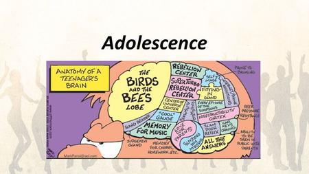 Adolescence.