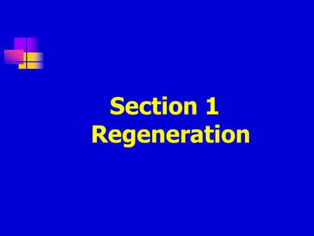 Section 1 Regeneration. Definition: The surviving healthy cells nearby damage proliferate and move for repair.