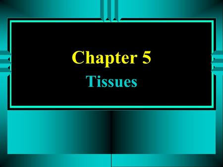 Chapter 5 Tissues. 5 - 2 Cell Review A. 75 trillion cells, various shapes & sizes B. Differences in shape make different functions possible A.includes.