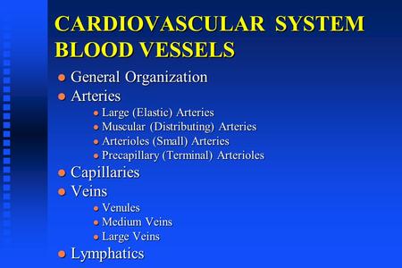 CARDIOVASCULAR SYSTEM BLOOD VESSELS