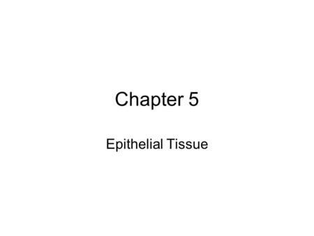 Chapter 5 Epithelial Tissue. Introduction A tissue is composed of similar cells that are specialized to perform a common function(s) Four adult primary.