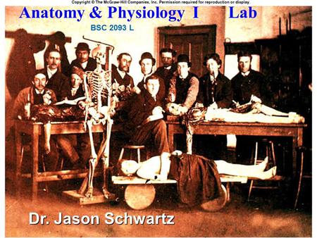 Anatomy & Physiology I Lab