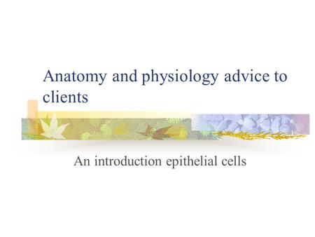 Anatomy and physiology advice to clients An introduction epithelial cells.