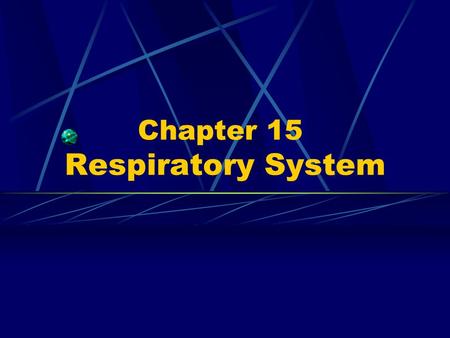 Chapter 15 Respiratory System. 1. Components ---nose ---pharynx ---larynx ---trachea ---bronchi ---lung.