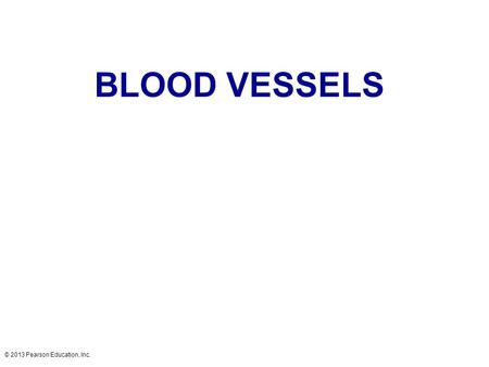 BLOOD VESSELS © 2013 Pearson Education, Inc..