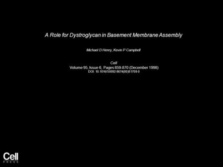 A Role for Dystroglycan in Basement Membrane Assembly Michael D Henry, Kevin P Campbell Cell Volume 95, Issue 6, Pages 859-870 (December 1998) DOI: 10.1016/S0092-8674(00)81708-0.