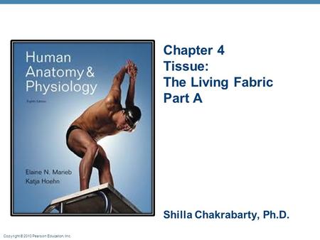 Copyright © 2010 Pearson Education, Inc. Chapter 4 Tissue: The Living Fabric Part A Shilla Chakrabarty, Ph.D.