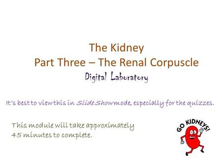 The Kidney Part Three – The Renal Corpuscle Digital Laboratory It’s best to view this in Slide Show mode, especially for the quizzes. This module will.