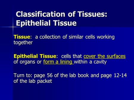 Classification of Tissues: Epithelial Tissue
