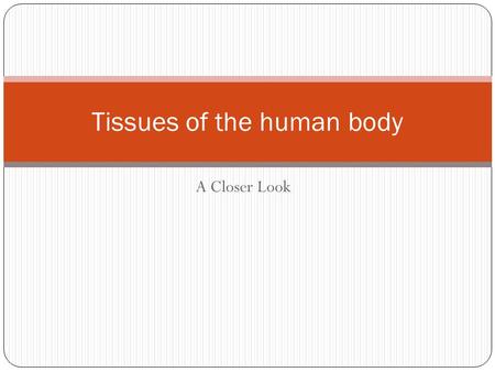 A Closer Look Tissues of the human body. Epithelial Tissues The lining, covering and glandular tissue of the body. Functions include: Protection. Absorption.