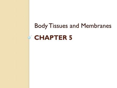 CHAPTER 5 Body Tissues and Membranes. What are tissues? Cells are organized into groups and layers called TISSUES Each tissue is composed of similar cells.