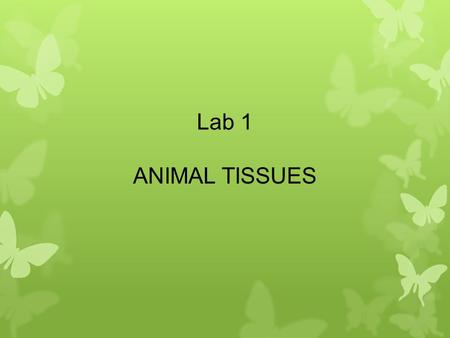 Lab 1 ANIMAL TISSUES.