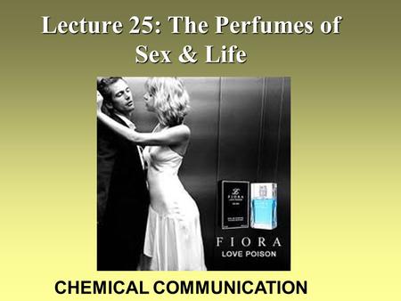 Lecture 25: The Perfumes of Sex & Life CHEMICAL COMMUNICATION.