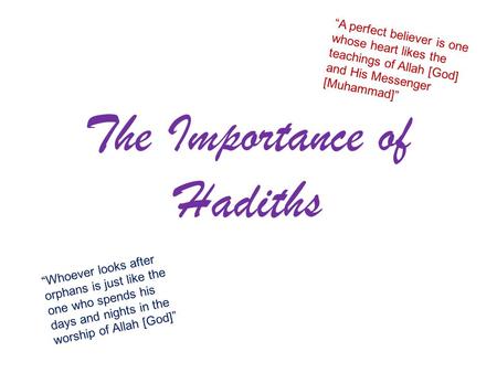 The Importance of Hadiths “A perfect believer is one whose heart likes the teachings of Allah [God] and His Messenger [Muhammad]” “Whoever looks after.