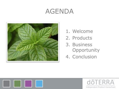 AGENDA Welcome Products Business Opportunity Conclusion.