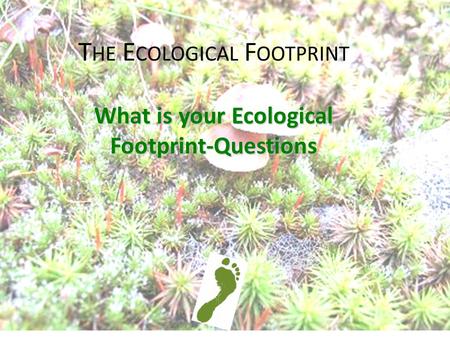 T HE E COLOGICAL F OOTPRINT What is your Ecological Footprint-Questions.