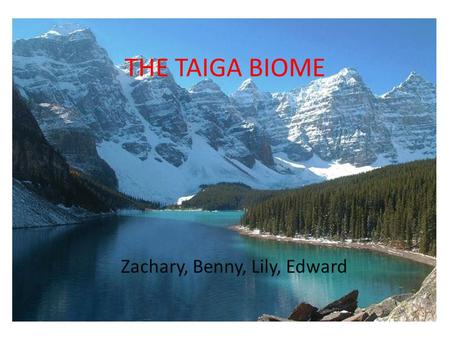 THE TAIGA BIOME Zachary, Benny, Lily, Edward. TABLE OF CONTENTS MAP OF THE TAIGA INTRODUCTION TO THE TAIGA ANIMALS PLANTS HUMAN INFLUENCES.