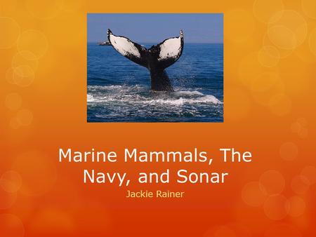 Marine Mammals, The Navy, and Sonar Jackie Rainer.