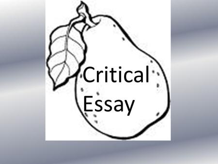 Critical Essay. Today’s plan What are central concerns and line of thought? Common problems Ways to plan your essay Linking your paragraphs Look at style.