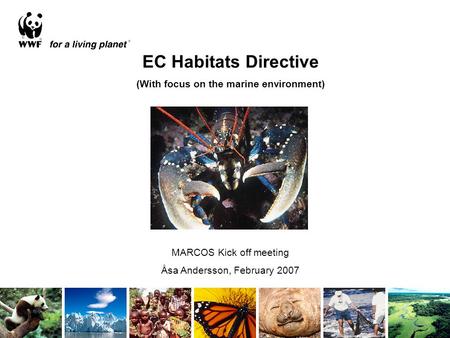 EC Habitats Directive (With focus on the marine environment) MARCOS Kick off meeting Åsa Andersson, February 2007.