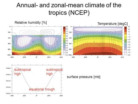 Annual- and zonal-mean climate of the tropics (NCEP) Relative humidity [%] Temperature [degC] surface pressure [mb] equatorial trough subtropical high.