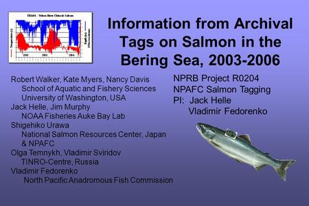 Information from Archival Tags on Salmon in the Bering Sea, 2003-2006 Robert Walker, Kate Myers, Nancy Davis School of Aquatic and Fishery Sciences University.