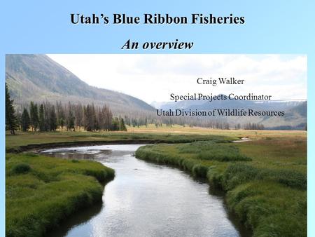 Utah’s Blue Ribbon Fisheries An overview Craig Walker Special Projects Coordinator Utah Division of Wildlife Resources.