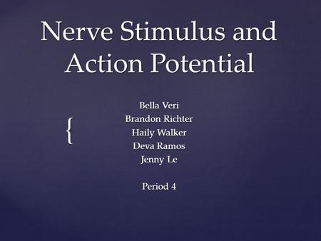 { Nerve Stimulus and Action Potential Bella Veri Brandon Richter Haily Walker Deva Ramos Jenny Le Period 4.