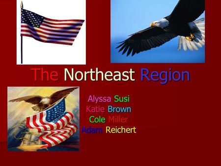 The Northeast Region Alyssa Susi Katie Brown Cole Miller Adam Reichert.