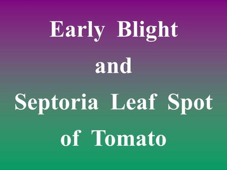 Early Blight and Septoria Leaf Spot of Tomato. Sources of Pathogen Seed and transplants. Spores dispersed by wind or water. Crop debris.