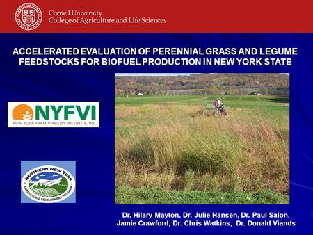 Dr. Hilary Mayton, Dr. Julie Hansen, Dr. Paul Salon, Jamie Crawford, Dr. Chris Watkins, Dr. Donald Viands ACCELERATED EVALUATION OF PERENNIAL GRASS AND.